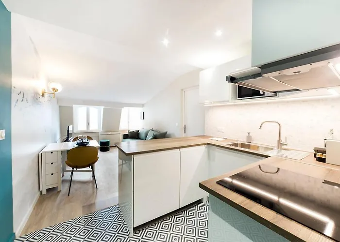 Nid Douillet Avec Vue Appartement Lyon